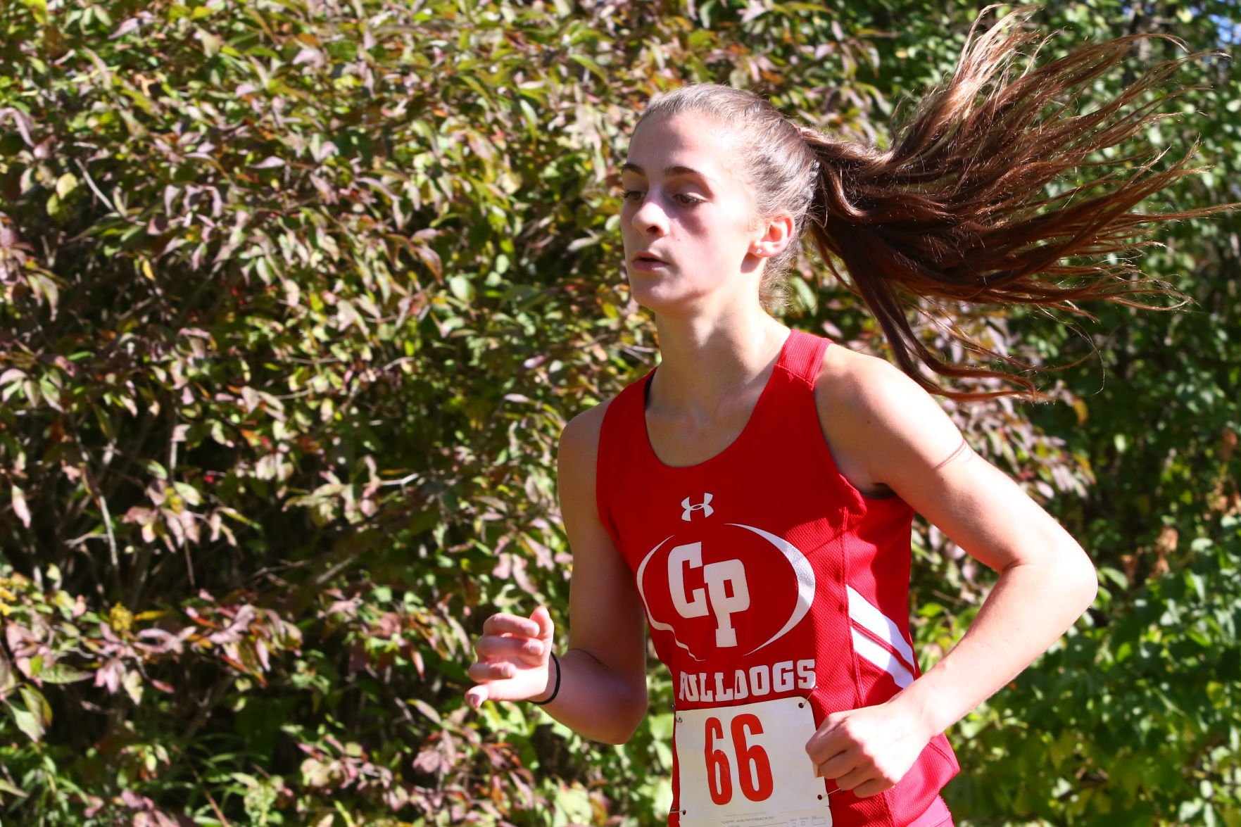 Duneland Athletic Conference cross country meet